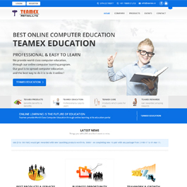 www.teamex.in